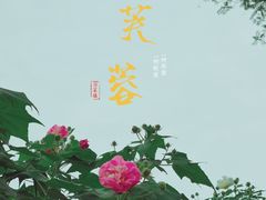 -天府芙蓉园