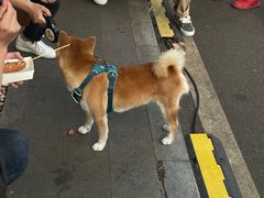 -默迹咖啡馆