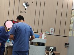 -半岛宠物医院24小时(科华中路店)