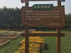 -亚龙湾国际玫瑰谷