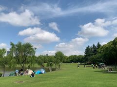 -黄兴公园