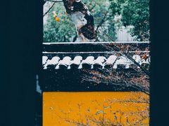 -北寺塔