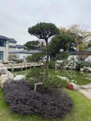 -苏州太湖国际会议中心·香山酒店·宴会厅