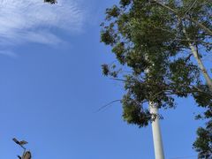 -广东金融学院(校本部)