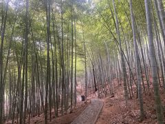 -上海佘山国家森林公园西佘山园