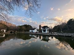 -红梅公园