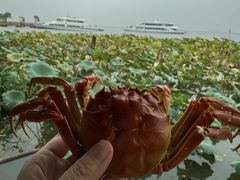 -渔娘蟹庄(阳澄湖莲花岛店)