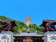 -庐山风景名胜区-东林大佛