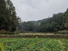-韶山毛泽东同志故居