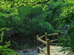 -关门山森林公园