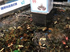 -盒马鲜生(莱蒙都会店)