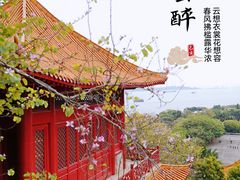 -南沙天后宫景区