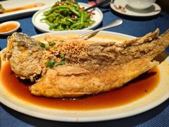豉油糖东海黄鱼-南乡·广东顺德菜(苏宁广场B区店)