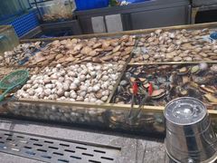 -半岛听涛蒸汽海鲜自助(K11店)