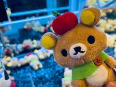 -PAWTOY爪e玩偶店(天兴罗斯福店)