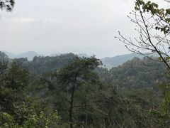 -大金鹰园