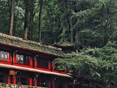 -青城山