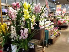 -永旺(大阪巨蛋城店)