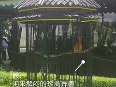 -日惹苏丹皇宫