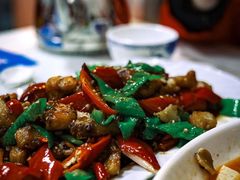 -煲来饱去冷水鱼
