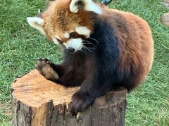 -云南野生动物园