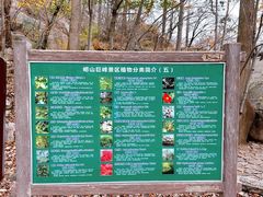 -崂山巨峰游览区