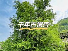 -终南山南五台景区