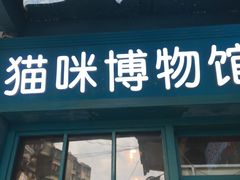 -猫咪博物馆(顶澳仔猫街店)