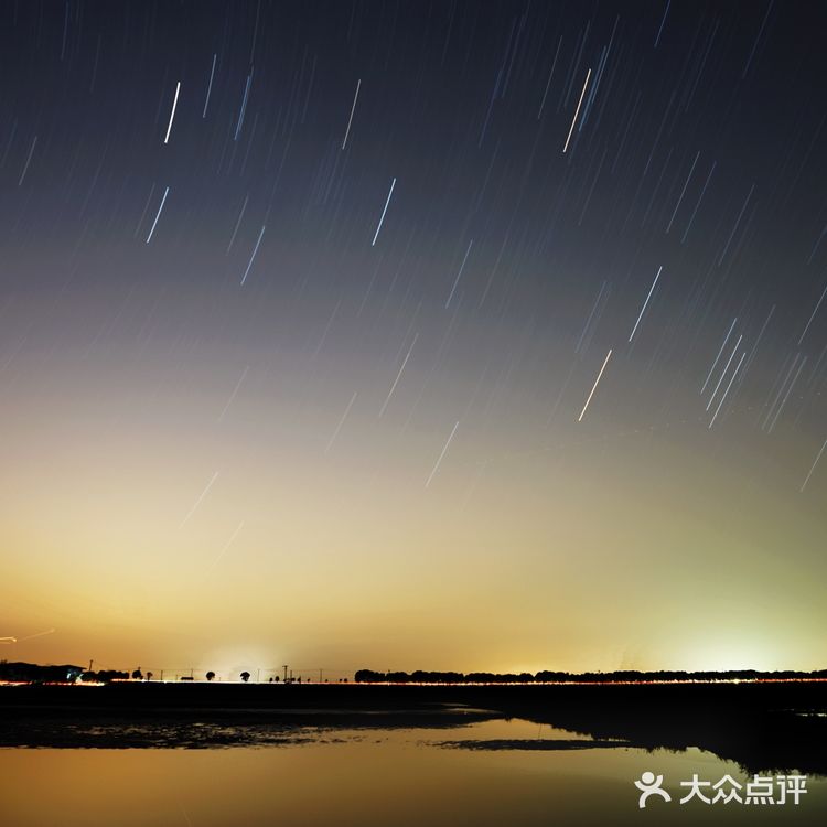 武汉小众景点沉湖湿地公园一日游攻略