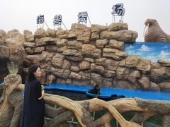 -华夏文旅海洋公园