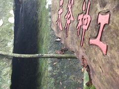-海南霸王岭国家森林公园