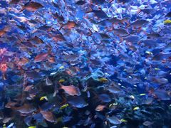 -成都浩海立方海洋公园