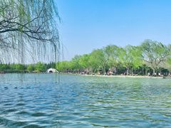 -洛阳市隋唐城遗址植物园