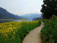 -新安江山水画廊风景区
