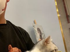 -BABIT巴比特宠物(MOMOPARK店)