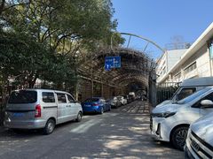 -双季花艺园艺市场(浦东店)