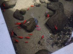 -泉乐坊步行街(烟酒特产平价超市店)