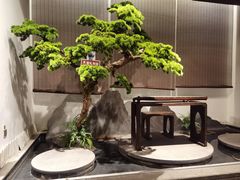 -儒忆孔府菜(清控店)