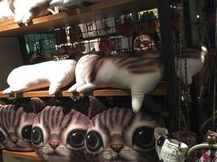 商品-猫咪博物馆(顶澳仔猫街店)