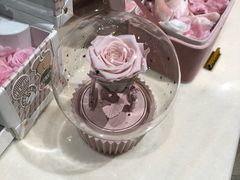 -BEAST野兽派(上海浦东嘉里城店)