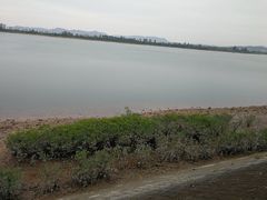 -江山半岛白浪滩景区