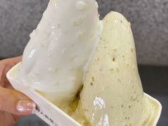 -野人先生Gelato(上海长宁龙之梦店)