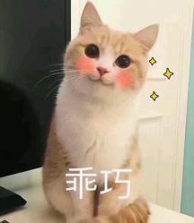 -Wisezone唯点穿耳打耳洞专业国际连锁品牌