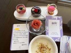 -巍阁月子中心(国贸店)