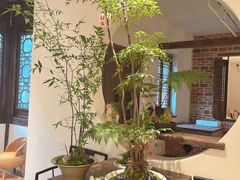 -茶肆(仙林店)