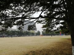 -东北大学(南湖校区)
