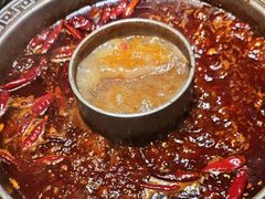 -杨肥肠火锅大排档(火车站花园店)