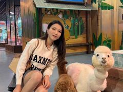 -顺德南宏海立方海洋公园
