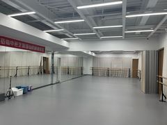 -中央芭蕾舞团·中芭艺蕾(酒仙桥明星校区)