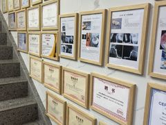 -半岛宠物医院24小时·内窥镜·牙科·碎石中心(府城大道店)